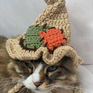 Scarecrow, Hats for Cats, Cat Costumes, Pet Costumes, Cat Hat, Cat Accessories, Cats, Cat Photo Prop, Crocheted Hat for Cats