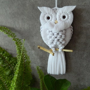 Charming Hand-Knotted Owl Wall Hanging Macrame Cotton Tapestry Unique Home Decor Delightful Gift for Owl Enthusiasts image 1