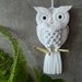 see more listings in the macrame owl section