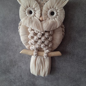 Charming Hand-Knotted Owl Wall Hanging Macrame Cotton Tapestry Unique Home Decor Delightful Gift for Owl Enthusiasts image 3