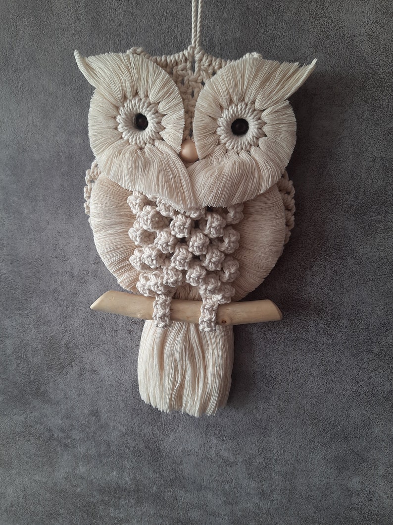 Charming Hand-Knotted Owl Wall Hanging Macrame Cotton Tapestry Unique Home Decor Delightful Gift for Owl Enthusiasts image 3