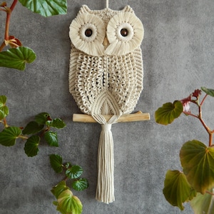 May include: A beige macrame owl wall hanging with a wooden branch and a long tassel. The owl has large, round eyes with brown centers.