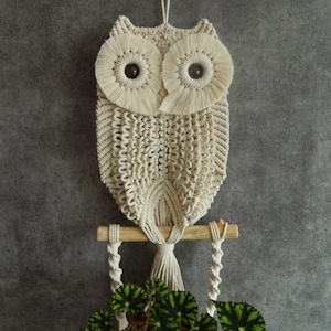 May include: A macrame owl wall hanging with wooden dowel and a plant in a pot below. The owl is made of natural colored string and has wooden eyes.