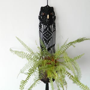 May include: A black macrame owl-shaped plant hanger with a hanging pot filled with green ferns. The owl has wooden bead eyes and a beak. The plant hanger is suspended from a black cord against a white wall.