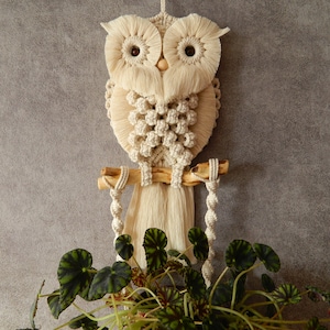Macrame Plant Hanger with owl, Hanging Planter, Plant Hanger, Large Macrame Plant Hanger, Planter, Plant Holder, Plant Lovers Gift