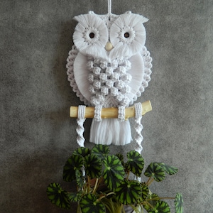 May include: White macrame owl wall hanging with a wooden branch and white tassels. The owl has large, round eyes and a detailed design. The owl is hanging against a gray background.