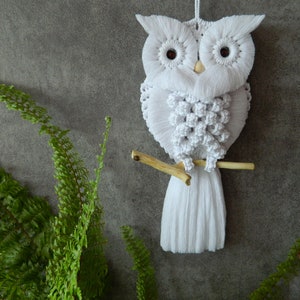 Charming Hand-Knotted Owl Wall Hanging Macrame Cotton Tapestry Unique Home Decor Delightful Gift for Owl Enthusiasts image 2