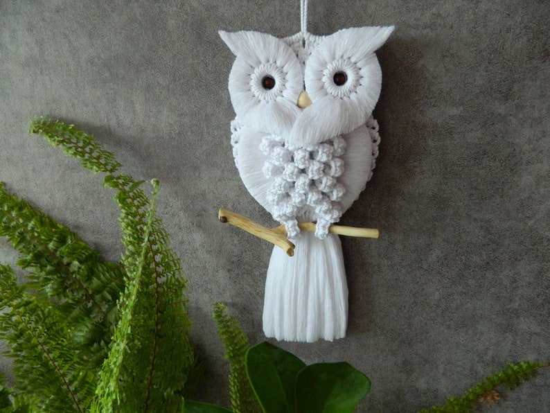 Charming Hand-Knotted Owl Wall Hanging Macrame Cotton Tapestry Unique Home Decor Delightful Gift for Owl Enthusiasts image 1