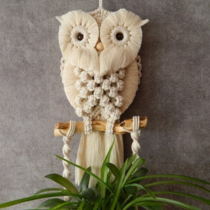 May include: A macrame owl wall hanging with a wooden branch and white yarn. The owl has large, round eyes and a detailed design. The hanging is accented with a green plant.