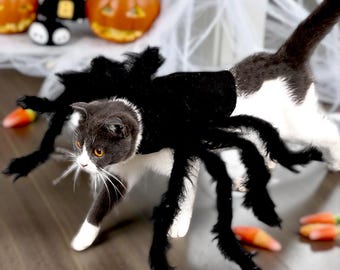 Huisdierspinkostuum: pluche halloween-outfit voor kleine honden en katten