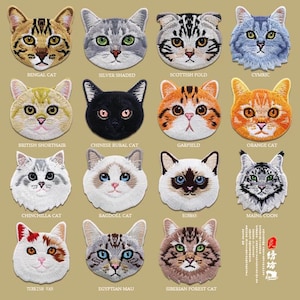 Gato bengalí plateado, gato escocés plegado, gato cymric, gato rural chino, gato Garfield naranja, gato chinchilla, parche termoadhesivo bordado, parche para coser