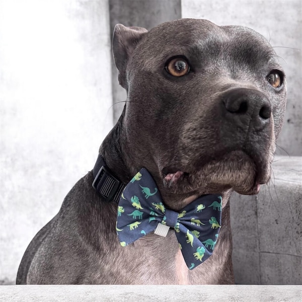 Dinosaur Print Dog Bow Tie: Blue Cotton, Collar or Harness