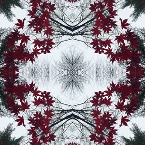 October Sky - Modern, Abstract, Original, Color, Square, Photo, Print, Nature, Fall