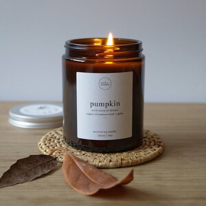 Pumpkin Spice Candle, Candle Collector Gift, Autumn Candle, Halloween Candle, Candle and Matches, Pumpkin Scented Candle, Soy Candle