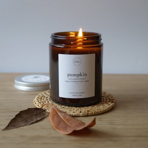 Pumpkin Spice Candle, Candle Collector Gift, Autumn Candle, Halloween Candle, Candle and Matches, Pumpkin Scented Candle, Soy Candle