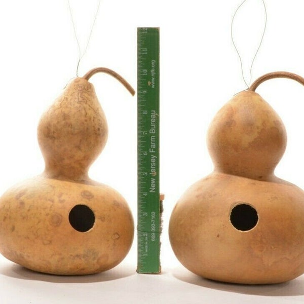 20+BIRDHOUSE BOTTLE GOURD Seeds Native Heirloom Vegetable Summer Fall Vine Crafts Bird House Easy