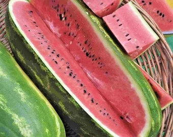 Könnte beinhalten: Eine halbierte Wassermelone mit leuchtend rotem Fruchtfleisch und schwarzen Kernen, zusammen mit mehreren geschnittenen Scheiben. Die Schale ist dunkelgrün mit hellgrünen Streifen. Das Obst liegt in einem Weidenkorb, was einen sommerlichen Eindruck erweckt.
