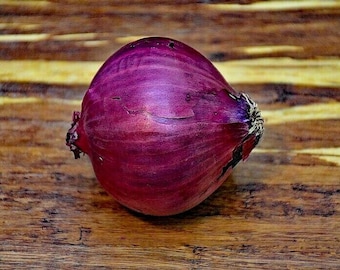 200+RED GRANO SWEET Onion Seeds Organic Non Gmo Short Day Spring Fall Heirloom Garden Container Easy