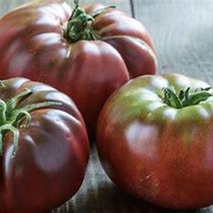 50+BLACK BRANDYWINE TOMATO Seeds Organic Heirloom Vegetable Summer Garden Patio Container Easy
