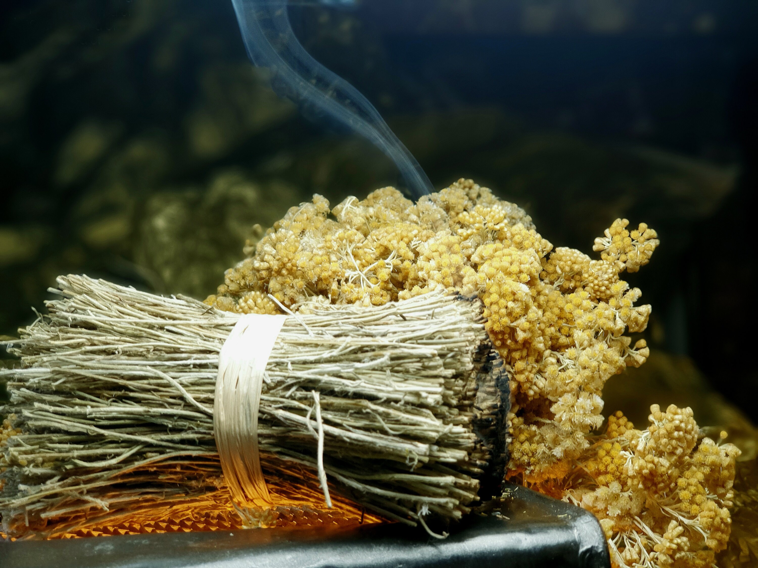 Fagots de Tiges d'immortelles Pour Fumigation