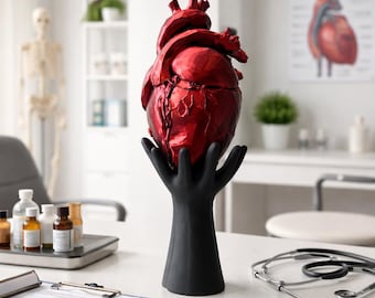 Anatomical Heart Sculpture on Hand Modern Gothic Decor Red Heart Art Object Medical Office Decor 16.54″x6.69″