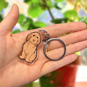 Sleutelhanger hond - Basset Fauve de Bretagne / Reekleurig Bretagne Basset