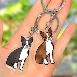 May include: Two Boston Terrier dog keyrings. One keyring is black and white, the other is brown and white. Both keyrings are made of clear acrylic and have a silver metal key ring.