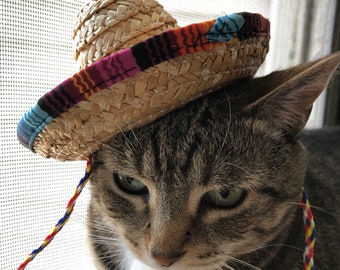 Sombrero for cats and dogs