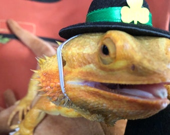 irish derby hat
