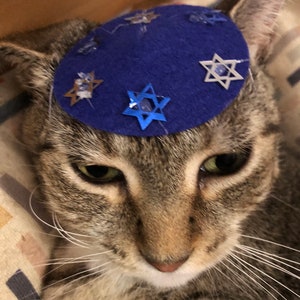 Yarmulke for small animals