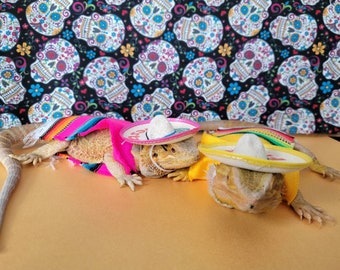 Sombrero for small animals