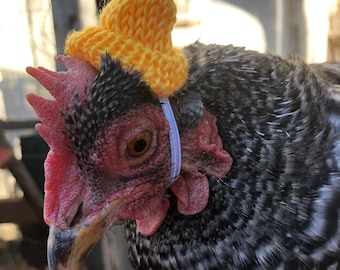 Knit hat for chickens