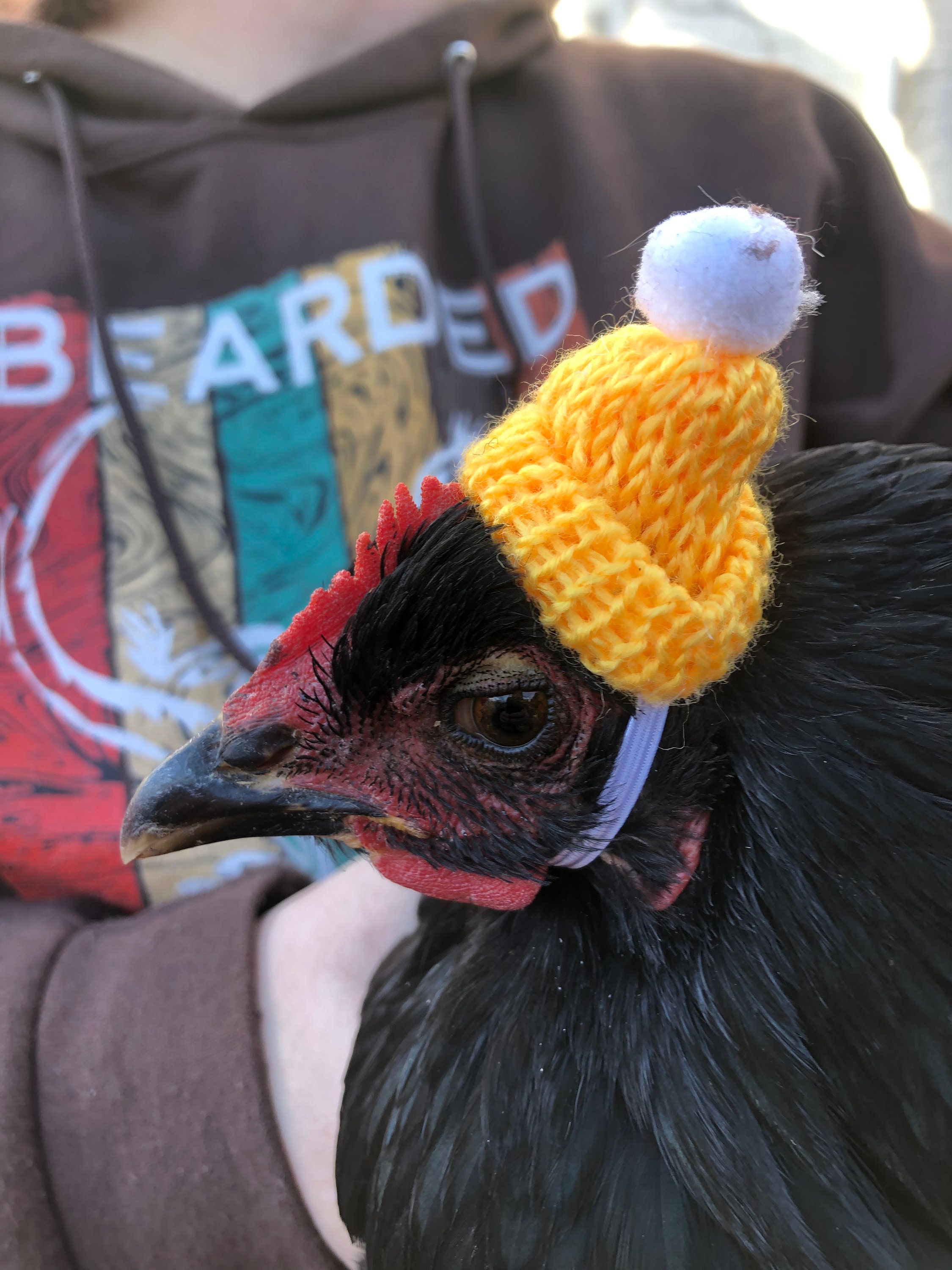 Knit hat for chickens Etsy
