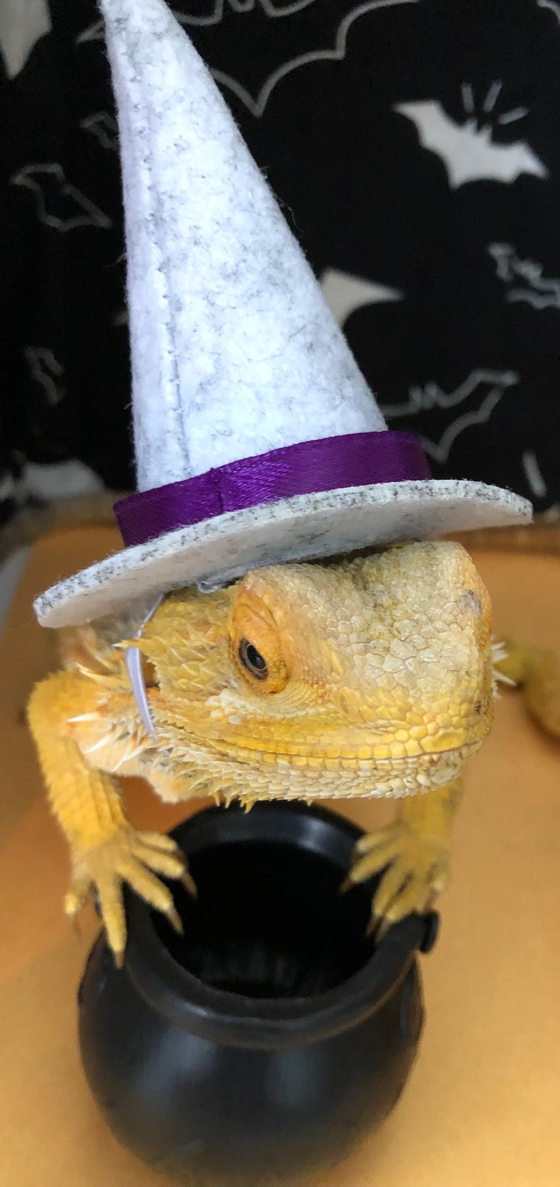 Witch Hat for Small Animals Grey/purple