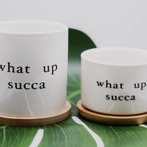 Punny Pots (Texte de Hoefler)