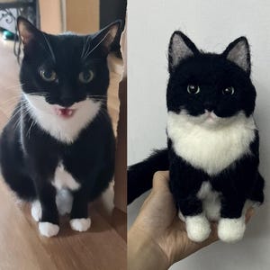 May include: A side-by-side comparison of a live cat and a felted cat sculpture. The live cat is black and white, with white paws and chest. The felted sculpture is a detailed replica of the cat, held in a hand, with the same markings and pose.