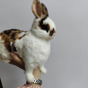 Bunny Loss Memorial, Stuffed Animal of Deceased Rabbit, Realistic ...