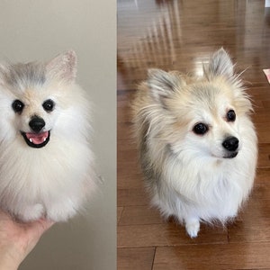 Unique Gift For Pet Lover, Custom Stuffed Animal of Dog Cat, Pet Loss Memorial, Unique Thanksgiving Gift Friend , Christmas Gift For Family