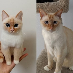 Custom Stuffed  Pet of Your Dog Cat, Handmade Pet Plush Clone, Animal Replica Gift, Pet Loss Memorial, Memorialize  family dog Cat