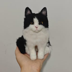 Custom Cat Plush Memorial: Realistic Stuffed Animal Clone