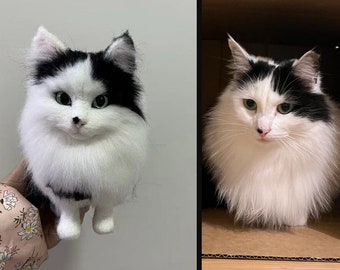Custom Pet Plush Clone: Dog Cat Memorial, Realistic Stuffed Animal