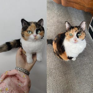 Rembourré personnalisé pour animal de compagnie de votre chat, clone en peluche fait main, cadeau de réplique de chien chat, commémoration de la perte d'un animal de compagnie, commémoration du chien de la famille chat