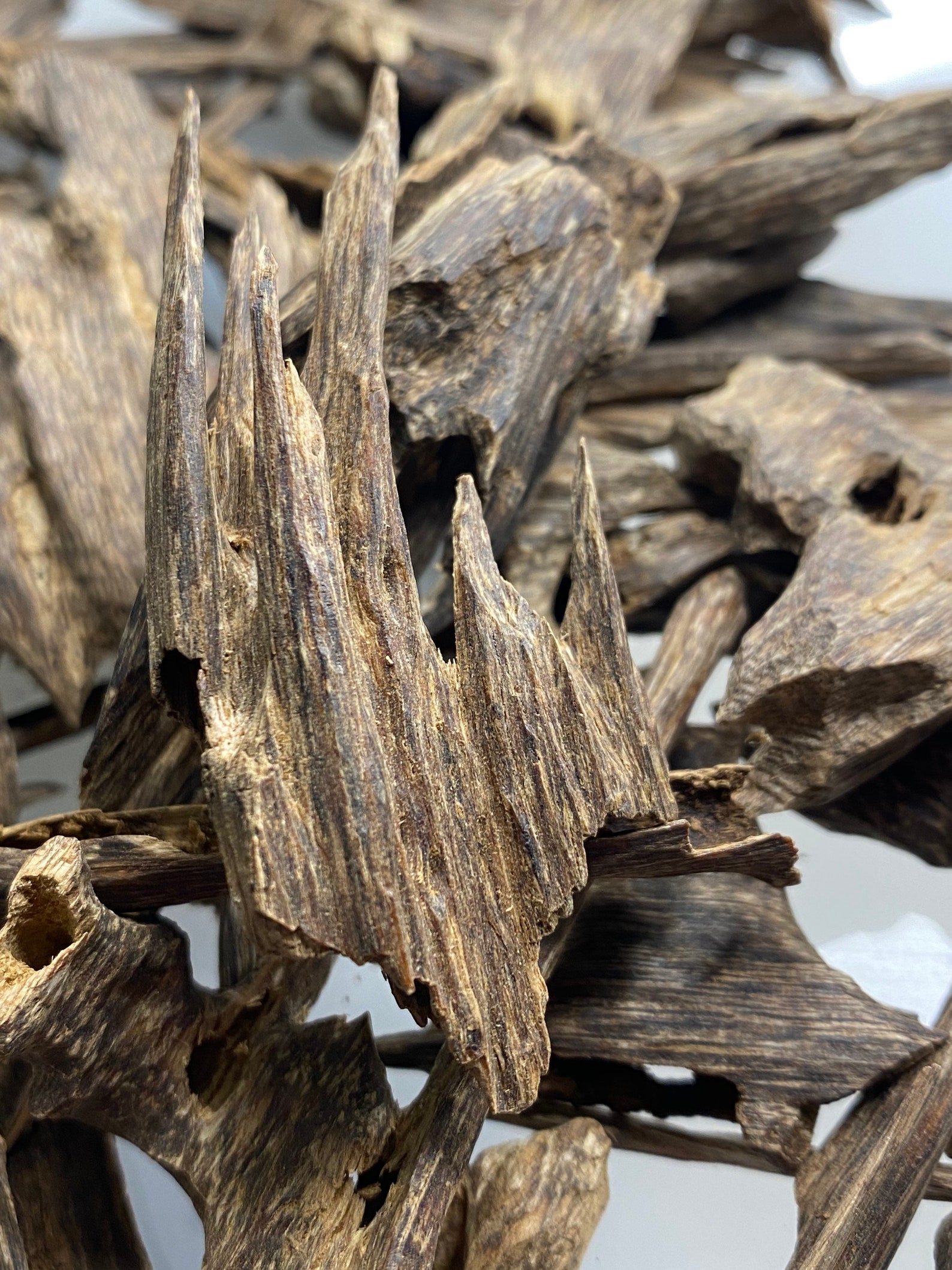 Wild Hindi Oud Wood Agarwood Etsy