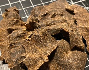 Assam Char Hindi Agarwood Wild