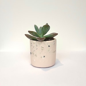Kleiner Blumentopf für drinnen in Palest Rosa, Grau, Beige & Weiß - Terrazzo Jesmonite - Pflanzer - Blumentopf - Sukkulente - Schreibtisch - Umweltfreundlich