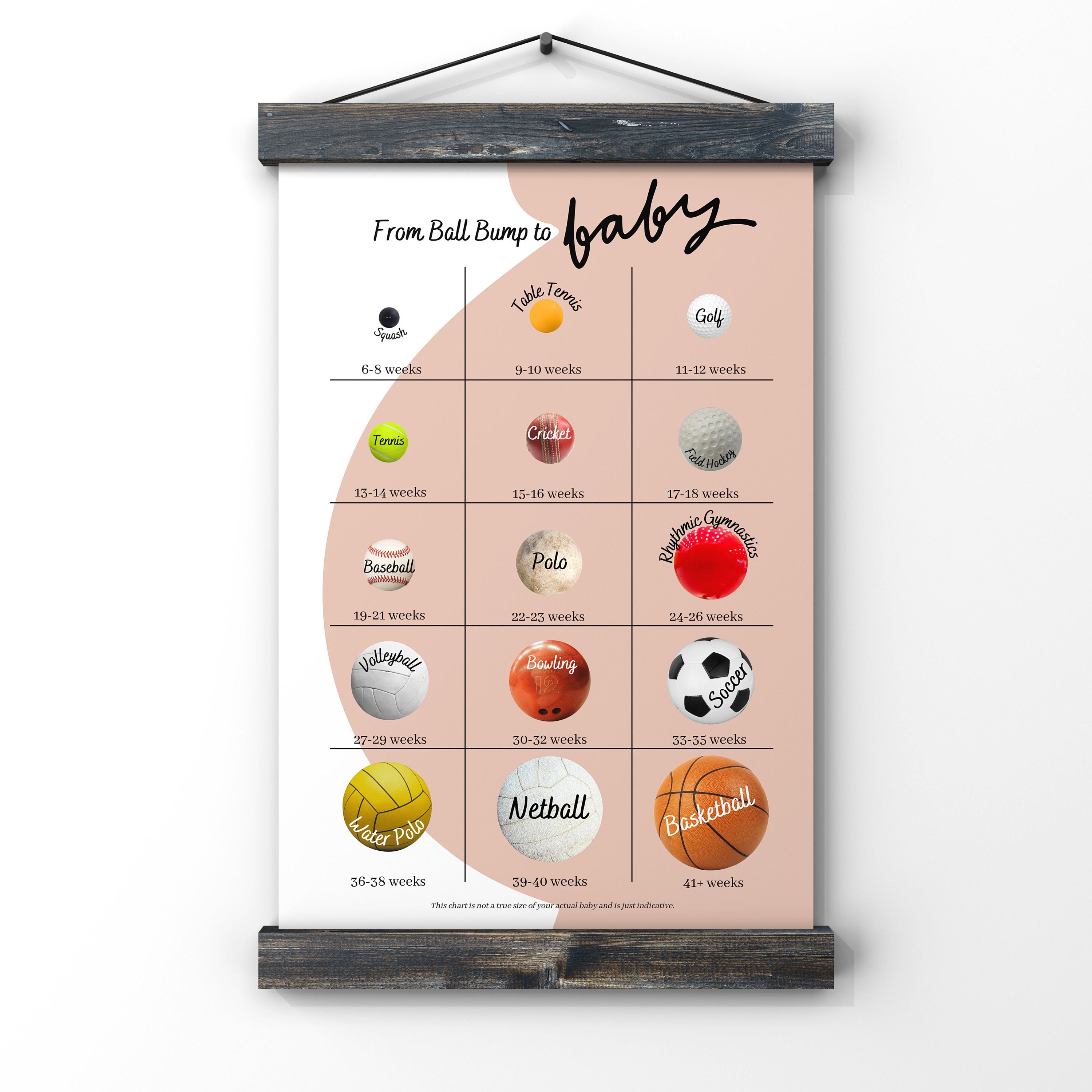 How Big is Baby Bump, Week by Week Baby Size Balls Poster, Pregnancy