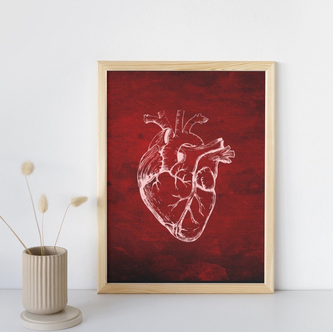 Anatomical Heart Print, Vintage Medical Art, Heart Wall Art, Anatomy