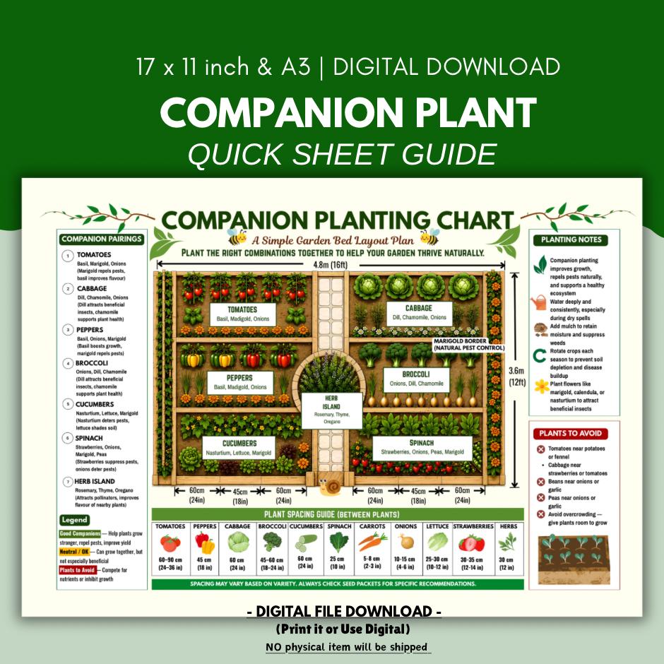 Vegetable Companion Planting Chart: Garden Planner Spacing Printable ...