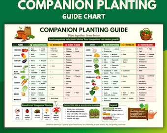 Vegetable Companion Planting Chart Printable, Companion Planting Guide, What to Plant Together, Garden Planner, Veg Garden PDF