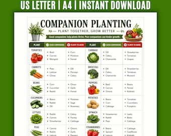 Companion Planting Chart Printable, What to Plant Together Guide, Vegetable Garden Planner, Garden Companion Guide PDF, Plant Pairing Chart